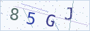 验证码
