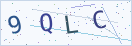 验证码