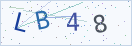 验证码