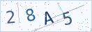 验证码