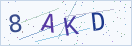 验证码