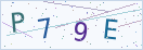验证码