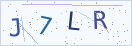验证码