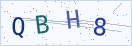 验证码