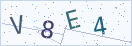 验证码