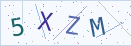 验证码