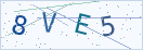 验证码