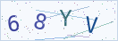 验证码
