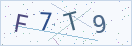 验证码