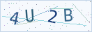 验证码