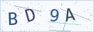 验证码