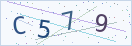 验证码