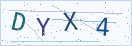 验证码