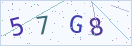验证码