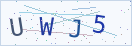 验证码