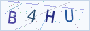 验证码