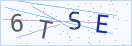 验证码