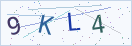 验证码