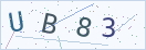 验证码