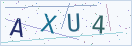 验证码
