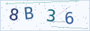 验证码