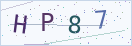 验证码