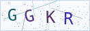 验证码