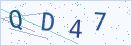 验证码