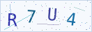验证码