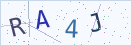 验证码
