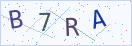 验证码