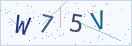验证码