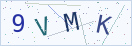 验证码