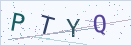 验证码