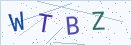 验证码