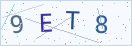 验证码