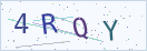 验证码