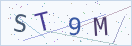 验证码