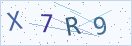 验证码