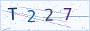 验证码