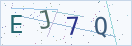 验证码
