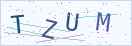 验证码
