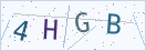 验证码