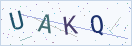 验证码