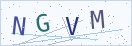 验证码