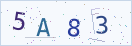 验证码