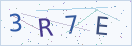 验证码