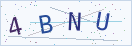 验证码