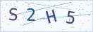 验证码