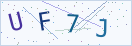 验证码